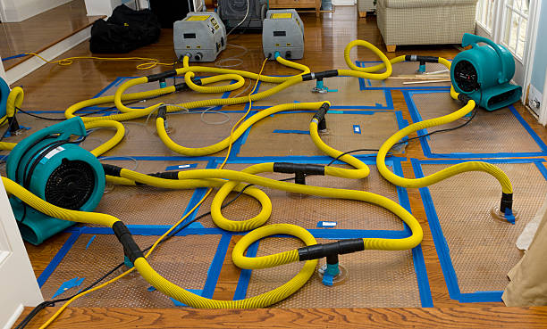 Professional Basement Flood Cleanup technician working in Stillwater, OK